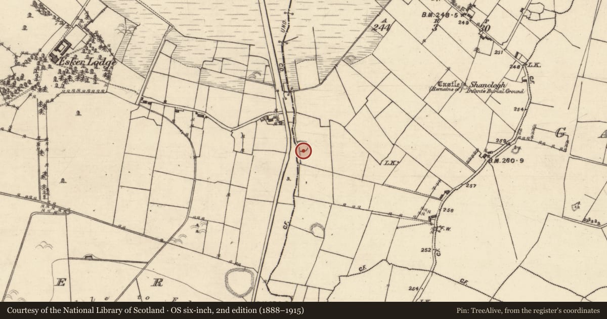 Ordnance Survey six-inch map, 2nd edition (1888–1915) covering the location of Ringfort - unclassified, Garrafine, County Galway, with a pin at the register's coordinates