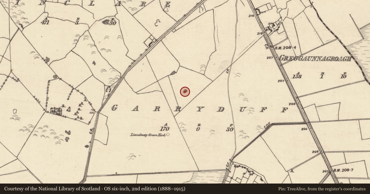 Ordnance Survey six-inch map, 2nd edition (1888–1915) covering the location of Quarry, Garryduff, County Galway, with a pin at the register's coordinates