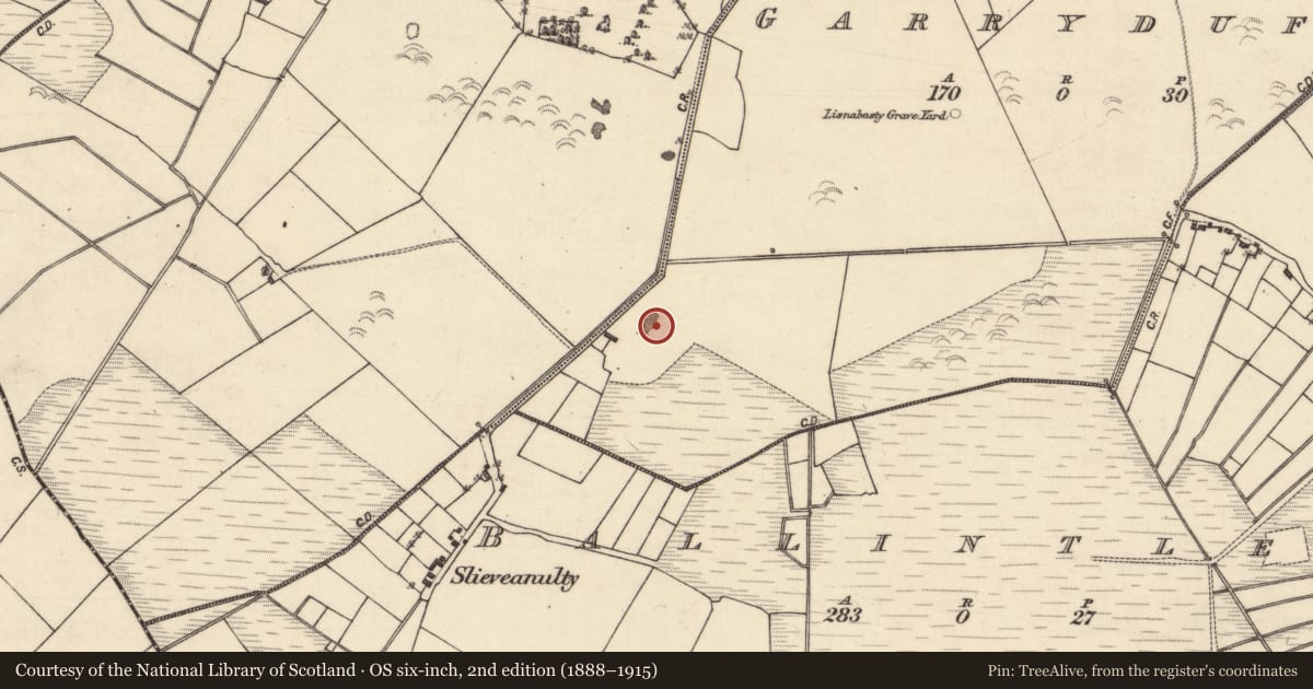Ordnance Survey six-inch map, 2nd edition (1888–1915) covering the location of Quarry, Garryduff, County Galway, with a pin at the register's coordinates