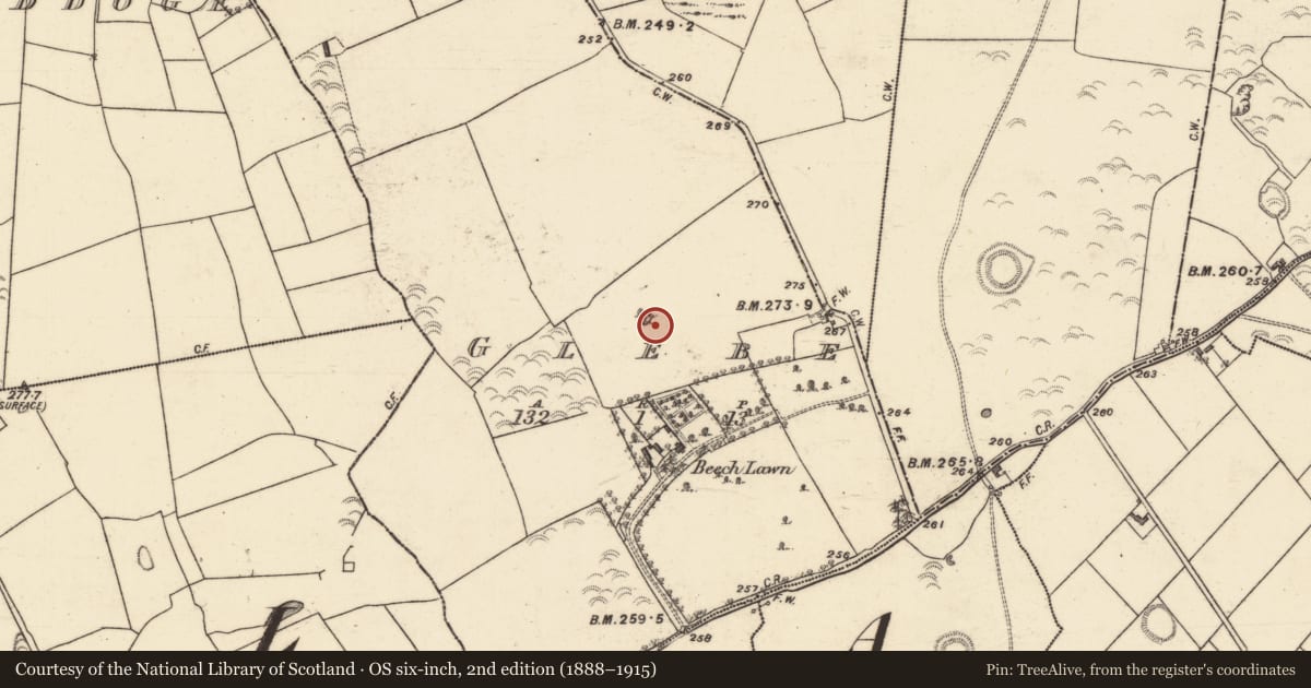 Ordnance Survey six-inch map, 2nd edition (1888–1915) covering the location of Designed landscape feature, Glebe (Caltra ED ), County Galway, with a pin at the register's coordinates