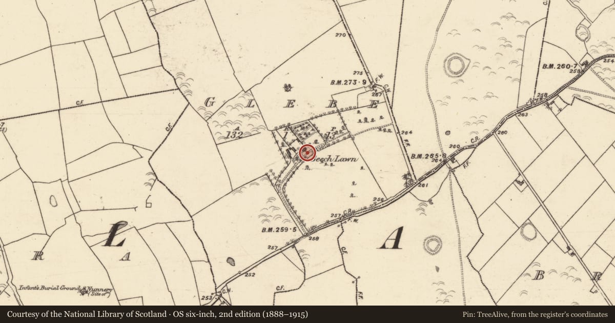 Ordnance Survey six-inch map, 2nd edition (1888–1915) covering the location of Country house, Glebe (Caltra ED ), County Galway, with a pin at the register's coordinates