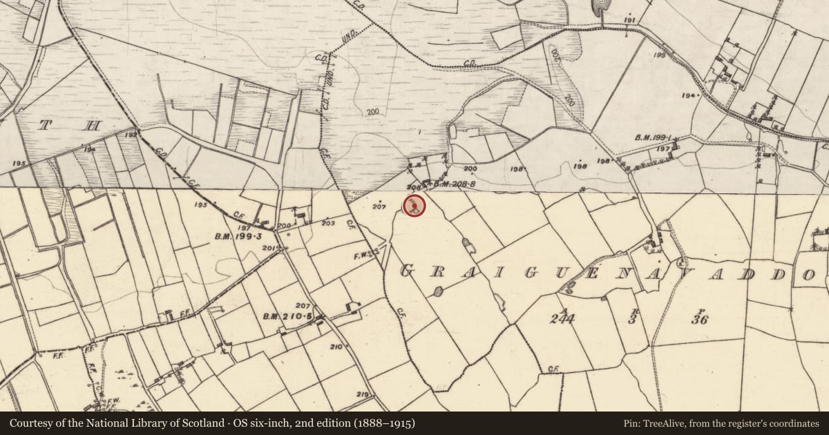 Ordnance Survey six-inch map, 2nd edition (1888–1915) covering the location of Ringfort - unclassified, Graiguenavaddoge, County Galway, with a pin at the register's coordinates