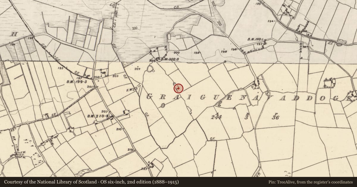 Ordnance Survey six-inch map, 2nd edition (1888–1915) covering the location of Quarry, Graiguenavaddoge, County Galway, with a pin at the register's coordinates