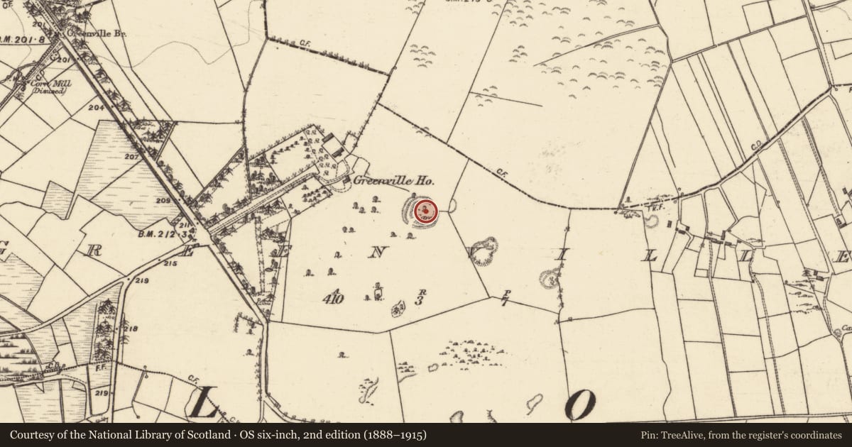Ordnance Survey six-inch map, 2nd edition (1888–1915) covering the location of Souterrain, Lislea, County Galway, with a pin at the register's coordinates