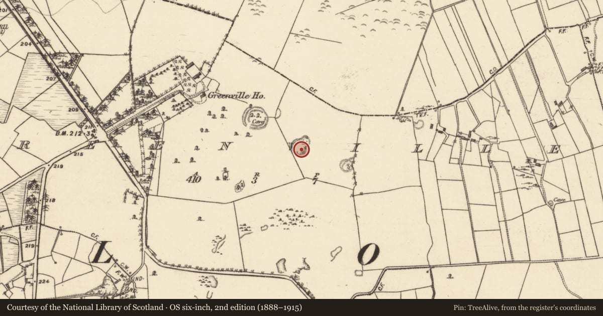 Ordnance Survey six-inch map, 2nd edition (1888–1915) covering the location of Ringfort - unclassified, Greenville, County Galway, with a pin at the register's coordinates