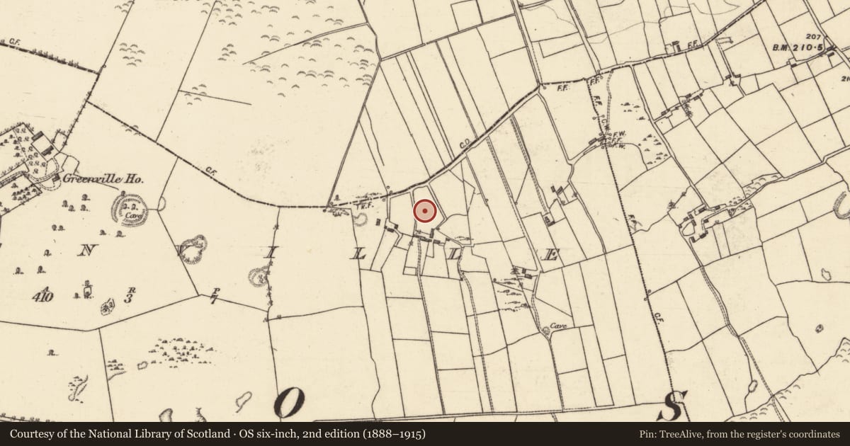Ordnance Survey six-inch map, 2nd edition (1888–1915) covering the location of Anomalous stone group, Greenville, County Galway, with a pin at the register's coordinates