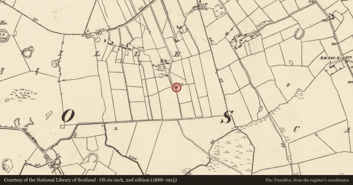 Ordnance Survey six-inch map, 2nd edition (1888–1915) covering the location of Souterrain, Greenville, County Galway, with a pin at the register's coordinates