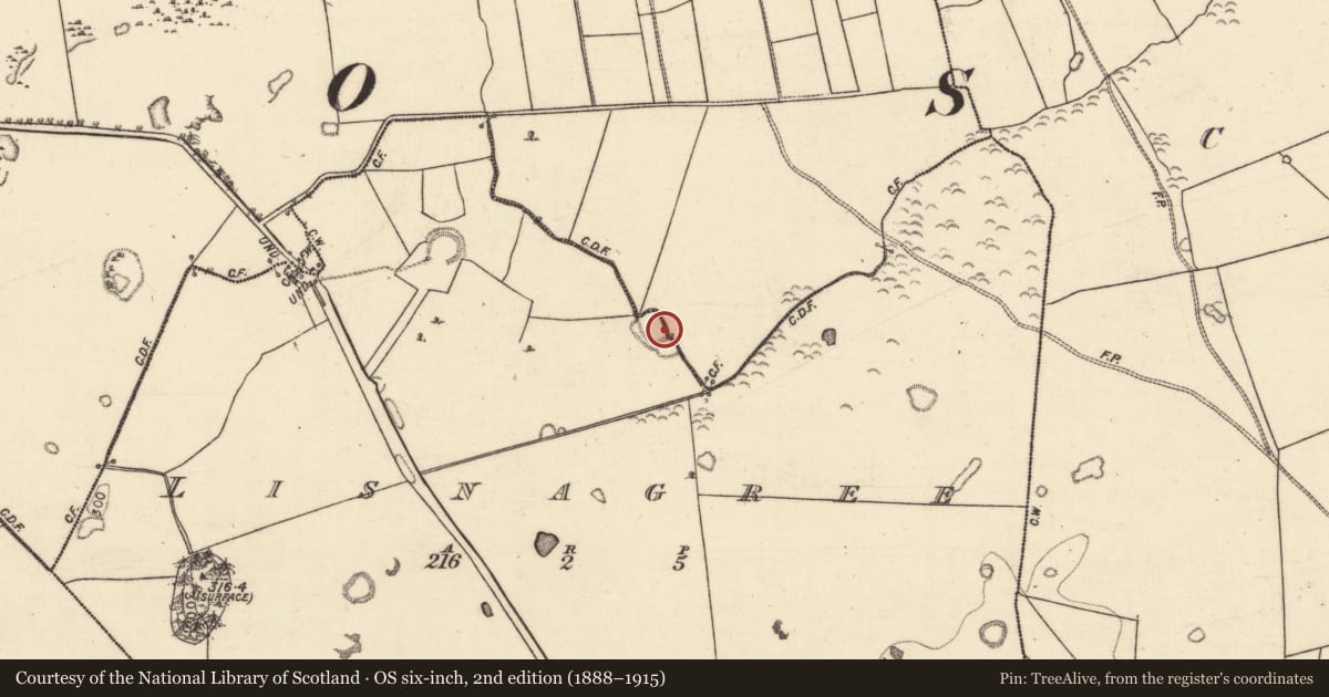 Ordnance Survey six-inch map, 2nd edition (1888–1915) covering the location of Enclosure, Greenville, Lisnagree, County Galway, with a pin at the register's coordinates