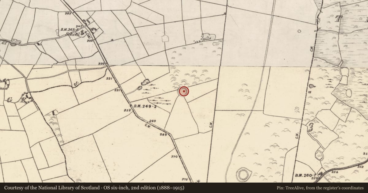 Ordnance Survey six-inch map, 2nd edition (1888–1915) covering the location of Ringfort - unclassified, Killosolan, County Galway, with a pin at the register's coordinates