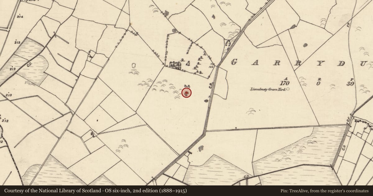 Ordnance Survey six-inch map, 2nd edition (1888–1915) covering the location of Quarry, Kinclare, County Galway, with a pin at the register's coordinates