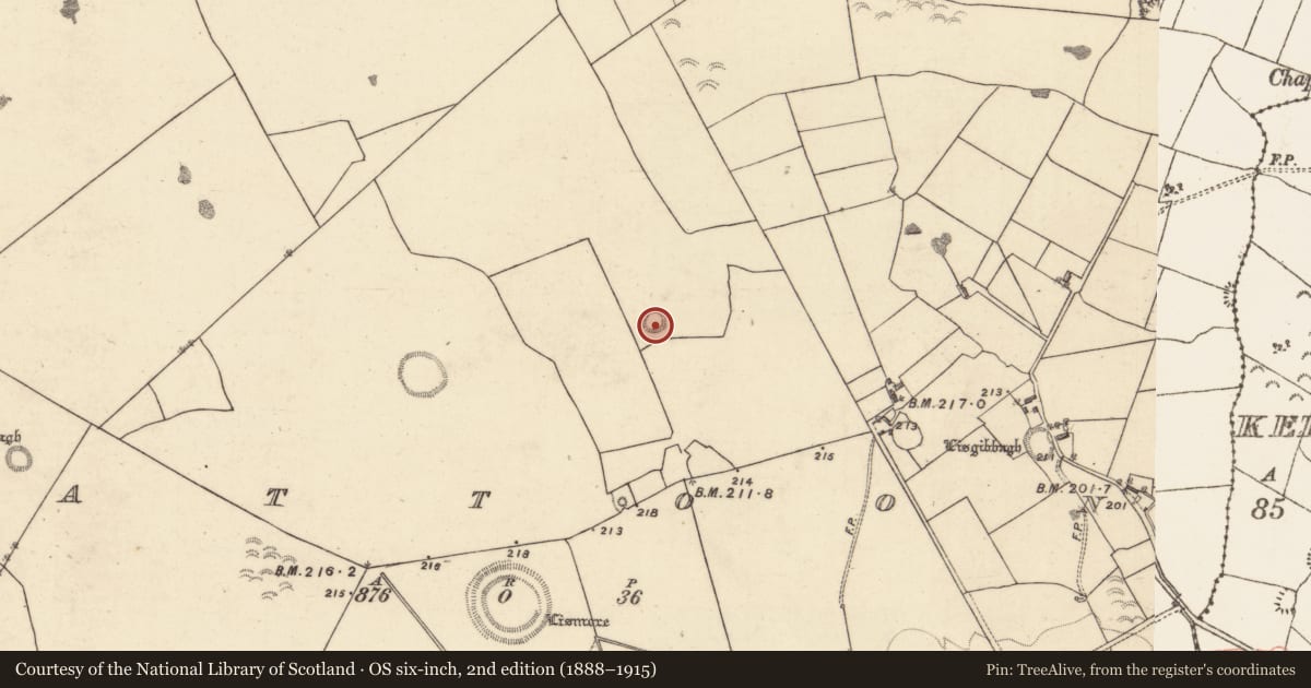 Ordnance Survey six-inch map, 2nd edition (1888–1915) covering the location of Enclosure, Lattoon, County Galway, with a pin at the register's coordinates