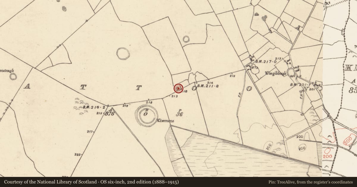 Ordnance Survey six-inch map, 2nd edition (1888–1915) covering the location of Earthwork, Lattoon, County Galway, with a pin at the register's coordinates