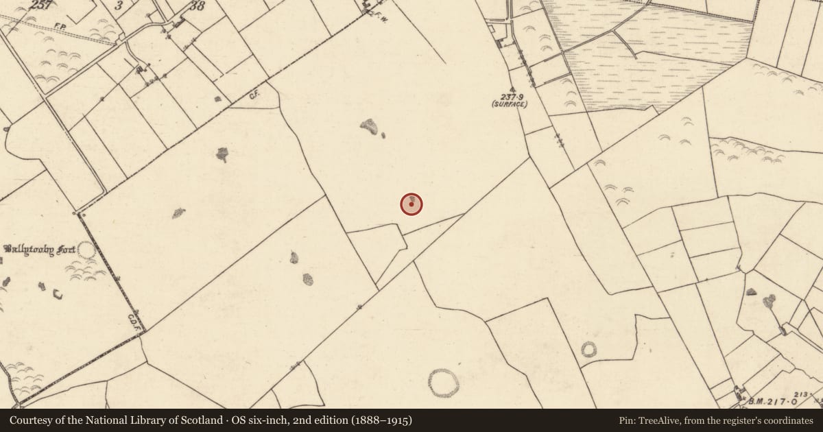 Ordnance Survey six-inch map, 2nd edition (1888–1915) covering the location of Quarry, Lattoon, County Galway, with a pin at the register's coordinates