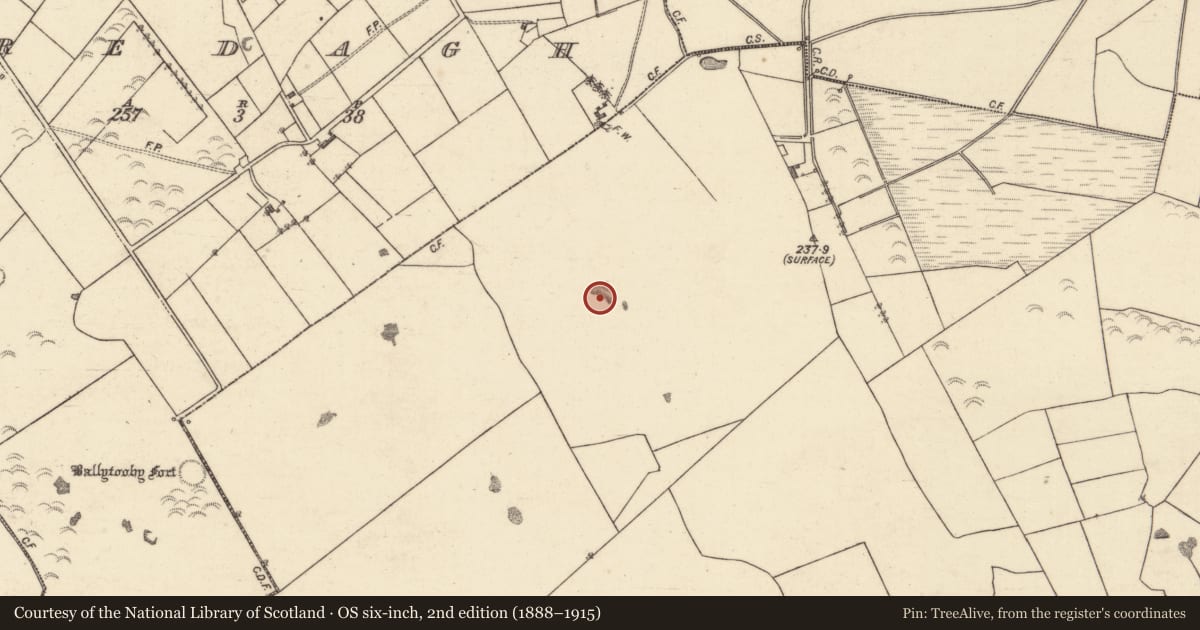 Ordnance Survey six-inch map, 2nd edition (1888–1915) covering the location of Quarry, Lattoon, County Galway, with a pin at the register's coordinates