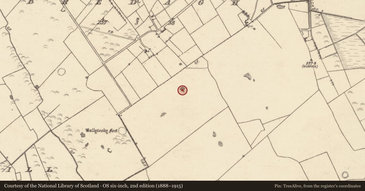 Ordnance Survey six-inch map, 2nd edition (1888–1915) covering the location of Quarry, Lattoon, County Galway, with a pin at the register's coordinates