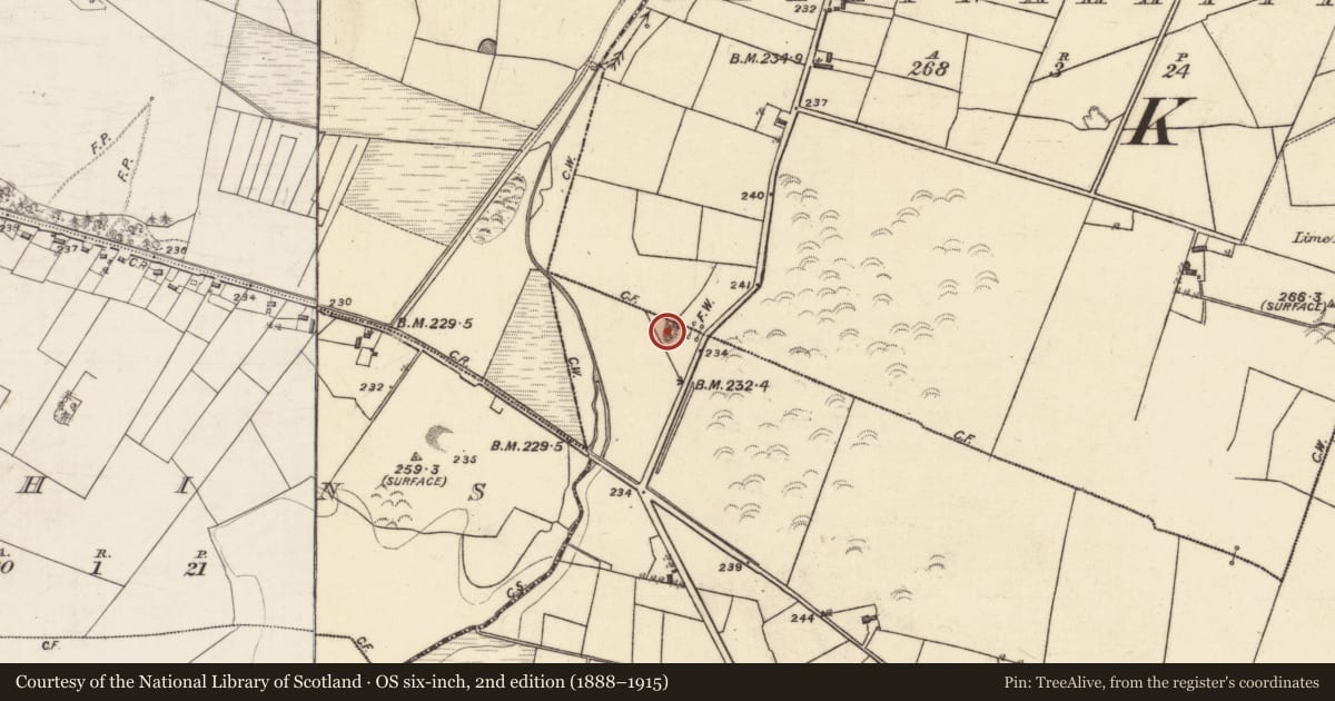Ordnance Survey six-inch map, 2nd edition (1888–1915) covering the location of Quarry, Lehanagh, County Galway, with a pin at the register's coordinates