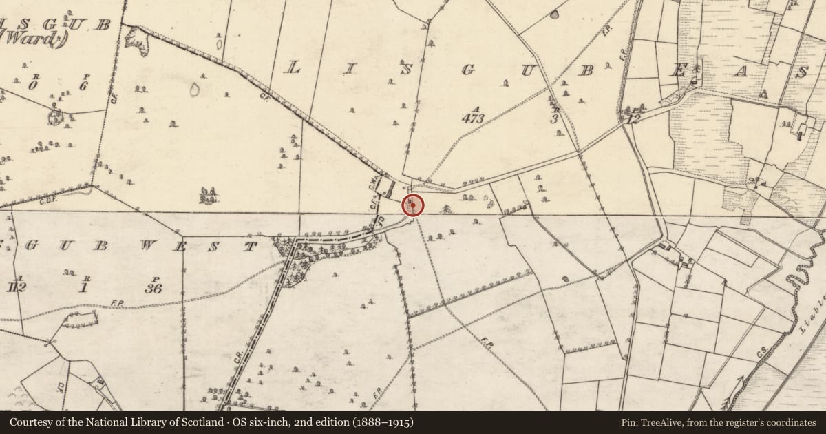 Ordnance Survey six-inch map, 2nd edition (1888–1915) covering the location of Country house, Lisgub East, County Galway, with a pin at the register's coordinates