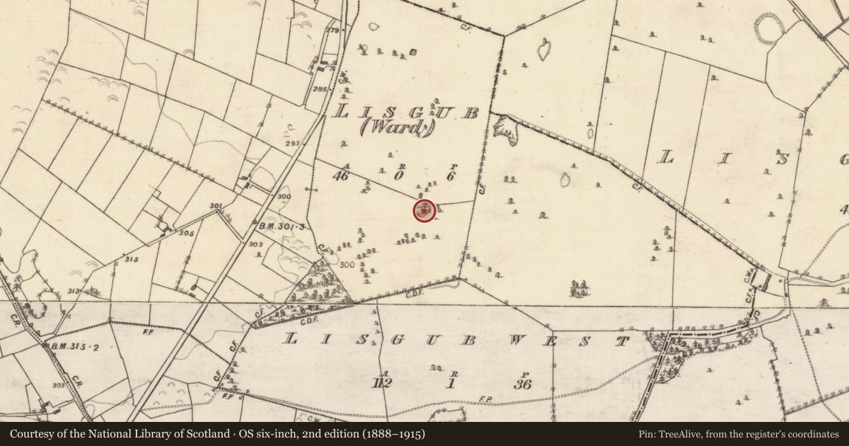Ordnance Survey six-inch map, 2nd edition (1888–1915) covering the location of Ringfort - unclassified, Lisgub (Ward), County Galway, with a pin at the register's coordinates