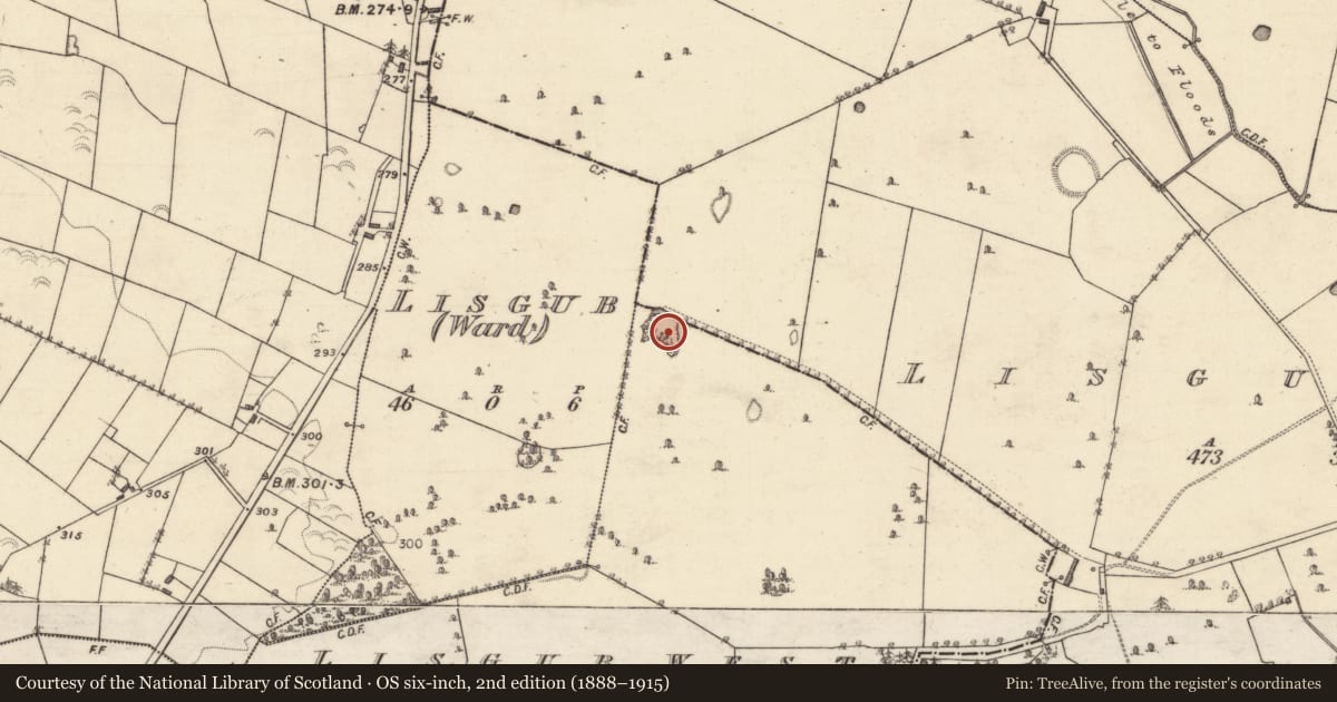 Ordnance Survey six-inch map, 2nd edition (1888–1915) covering the location of Quarry, Lisgub West, County Galway, with a pin at the register's coordinates