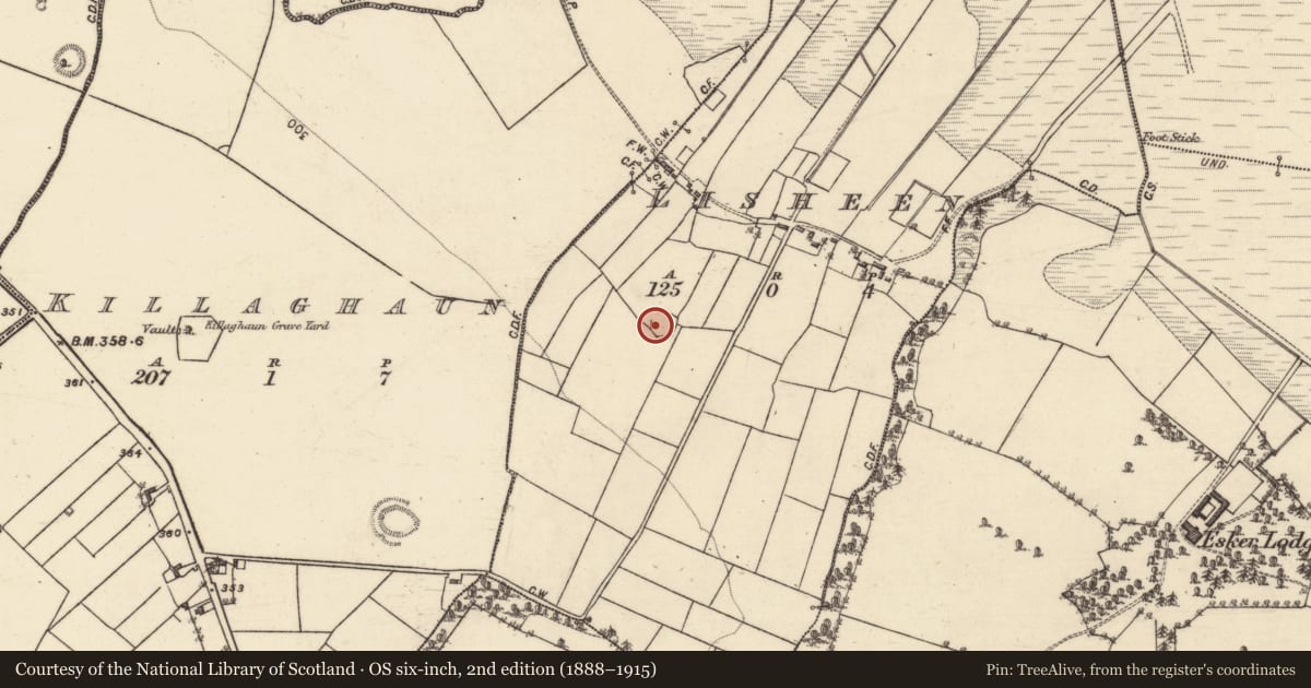 Ordnance Survey six-inch map, 2nd edition (1888–1915) covering the location of Enclosure, Lisheen, County Galway, with a pin at the register's coordinates