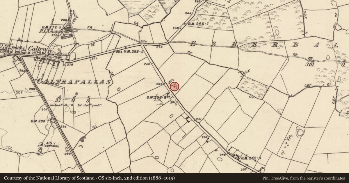 Ordnance Survey six-inch map, 2nd edition (1888–1915) covering the location of Souterrain, Lislea, County Galway, with a pin at the register's coordinates