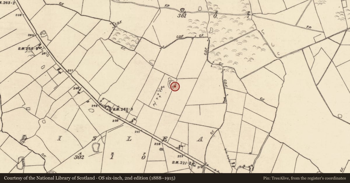 Ordnance Survey six-inch map, 2nd edition (1888–1915) covering the location of Ringfort - unclassified, Lislea, County Galway, with a pin at the register's coordinates