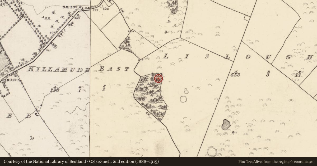 Ordnance Survey six-inch map, 2nd edition (1888–1915) covering the location of Enclosure, Lisloughlin, County Galway, with a pin at the register's coordinates