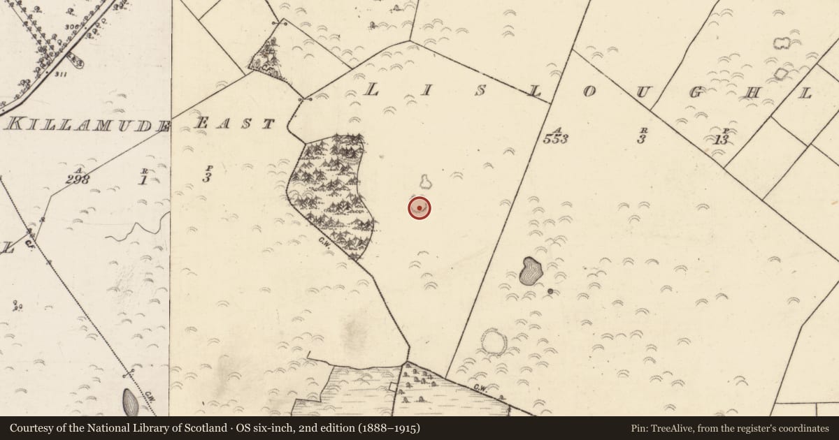Ordnance Survey six-inch map, 2nd edition (1888–1915) covering the location of Enclosure, Lisloughlin, County Galway, with a pin at the register's coordinates