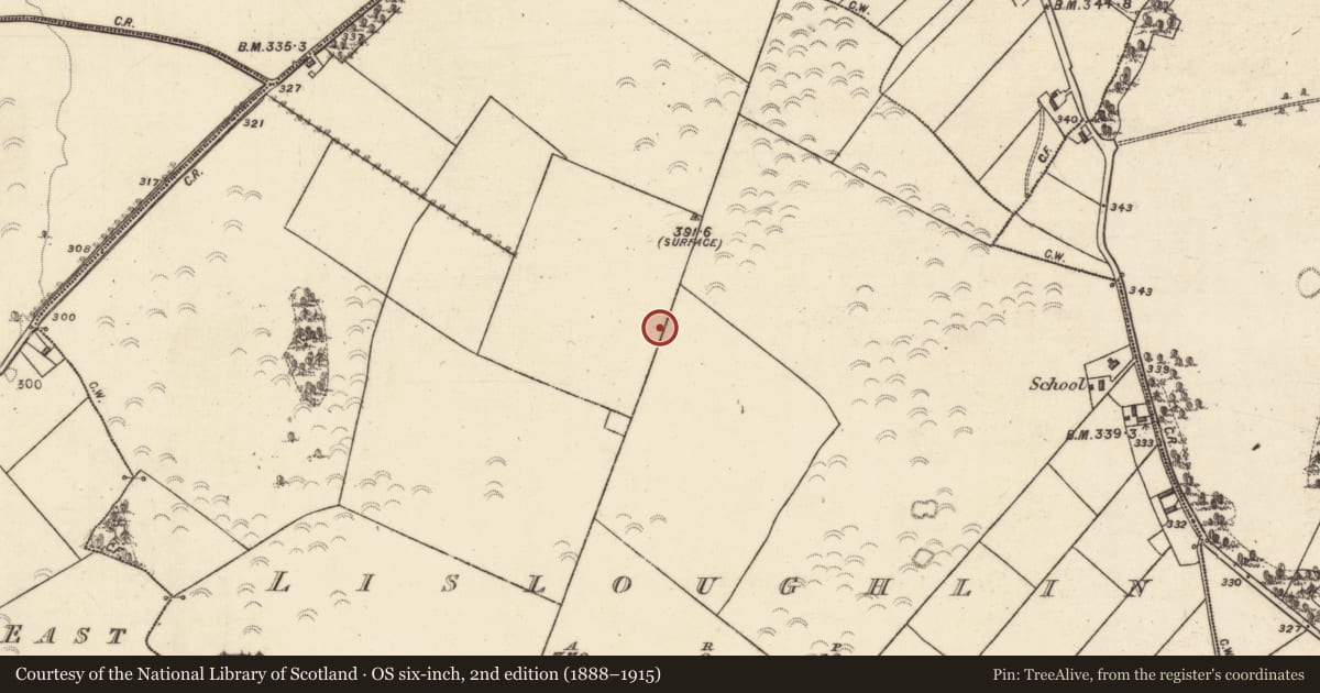 Ordnance Survey six-inch map, 2nd edition (1888–1915) covering the location of Designed landscape - folly, Lisloughlin, County Galway, with a pin at the register's coordinates
