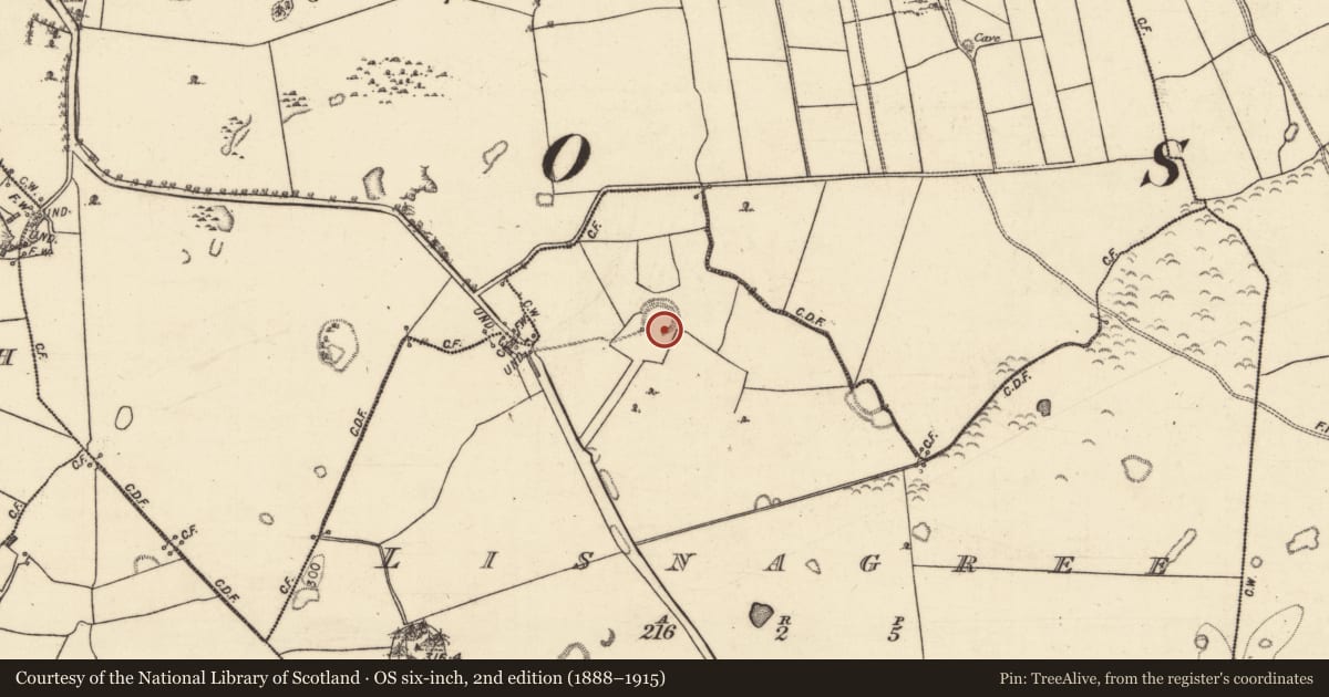 Ordnance Survey six-inch map, 2nd edition (1888–1915) covering the location of Enclosure, Lisnagree, County Galway, with a pin at the register's coordinates