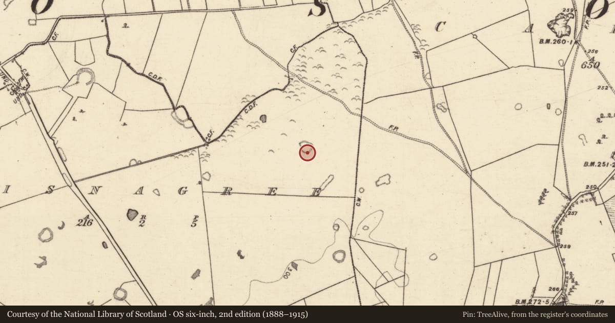 Ordnance Survey six-inch map, 2nd edition (1888–1915) covering the location of Ringfort - unclassified, Lisnagree, County Galway, with a pin at the register's coordinates