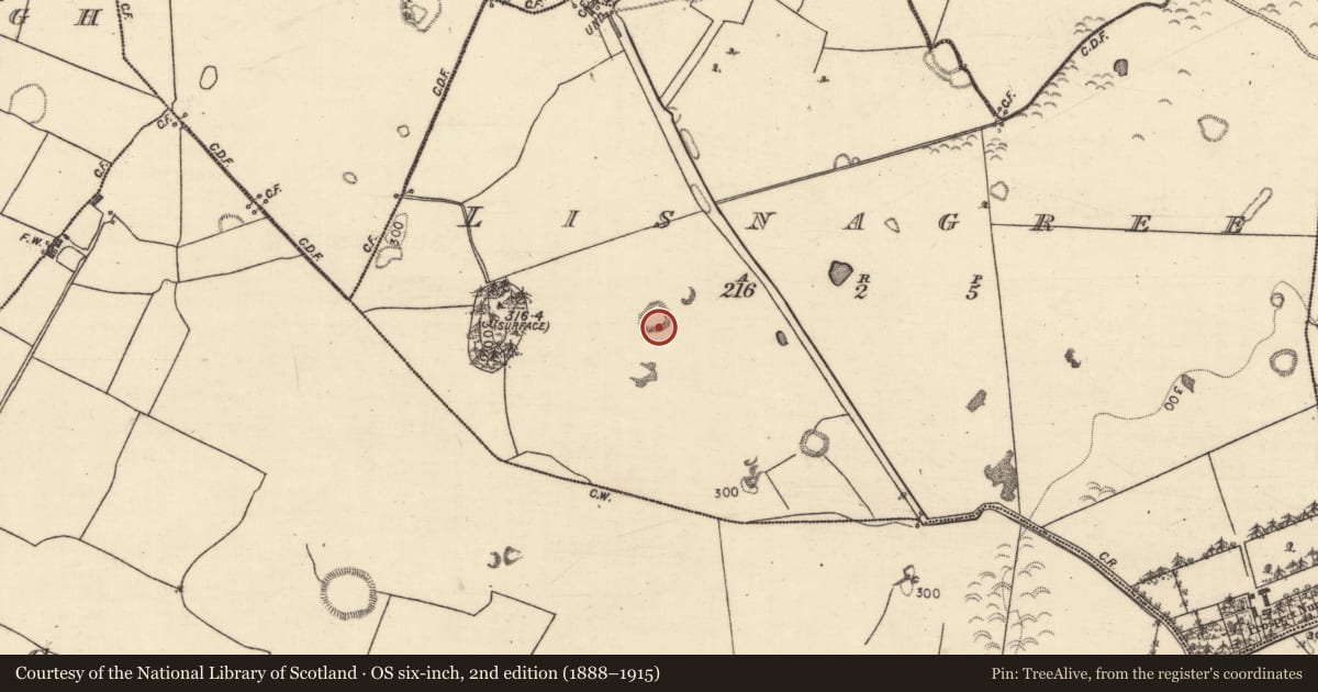 Ordnance Survey six-inch map, 2nd edition (1888–1915) covering the location of Enclosure, Lisnagree, County Galway, with a pin at the register's coordinates