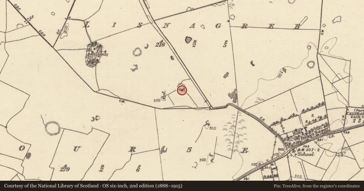 Ordnance Survey six-inch map, 2nd edition (1888–1915) covering the location of Enclosure, Lisnagree, County Galway, with a pin at the register's coordinates
