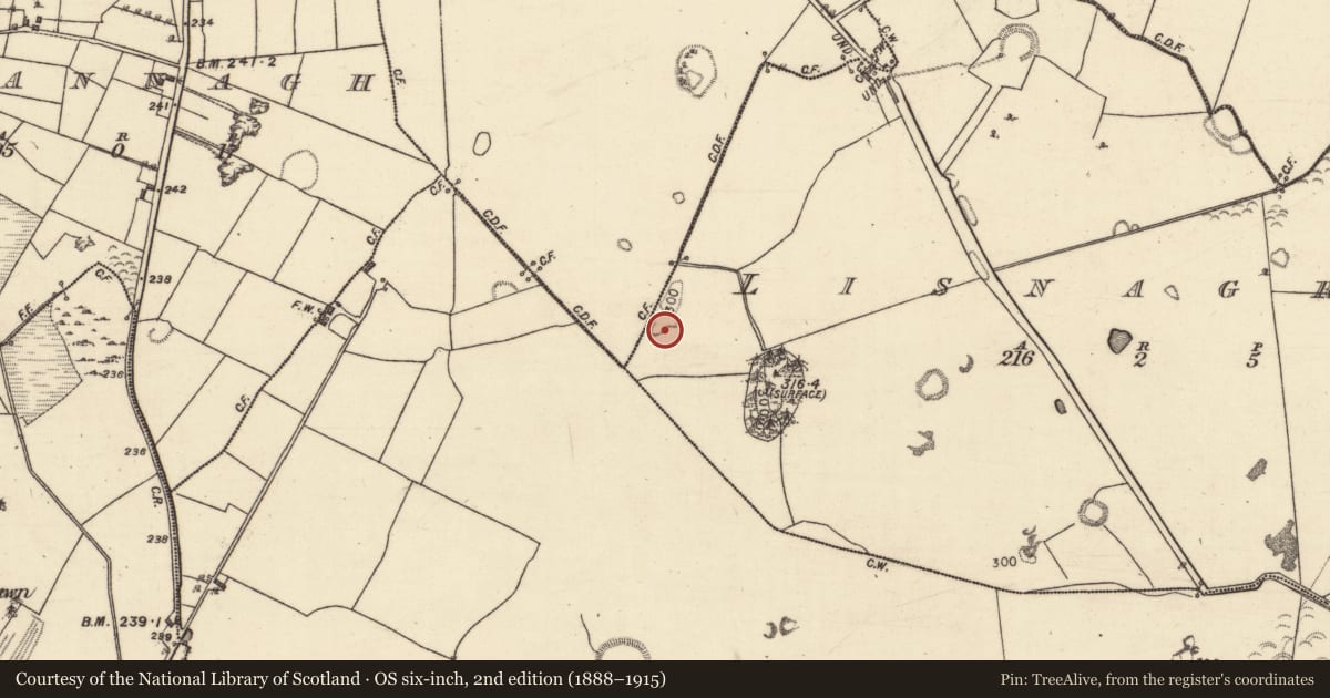 Ordnance Survey six-inch map, 2nd edition (1888–1915) covering the location of Quarry, Lisnagree, County Galway, with a pin at the register's coordinates