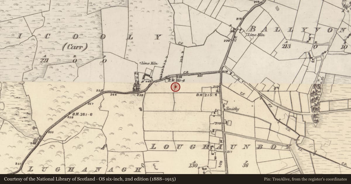 Ordnance Survey six-inch map, 2nd edition (1888–1915) covering the location of Quarry, Loughaunboy, County Galway, with a pin at the register's coordinates