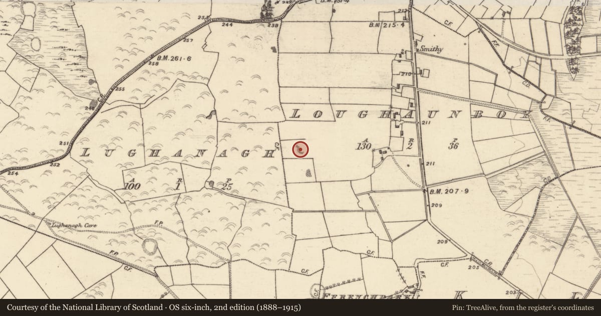 Ordnance Survey six-inch map, 2nd edition (1888–1915) covering the location of Quarry, Loughaunboy, County Galway, with a pin at the register's coordinates