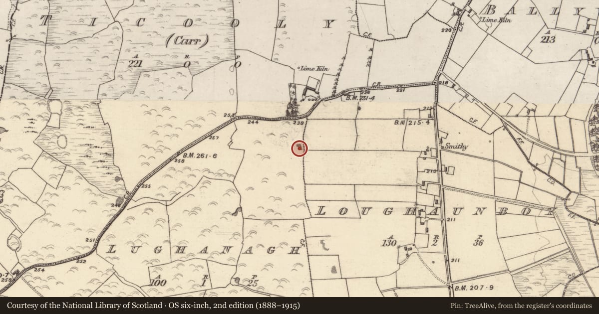Ordnance Survey six-inch map, 2nd edition (1888–1915) covering the location of Quarry, Lughanagh, County Galway, with a pin at the register's coordinates