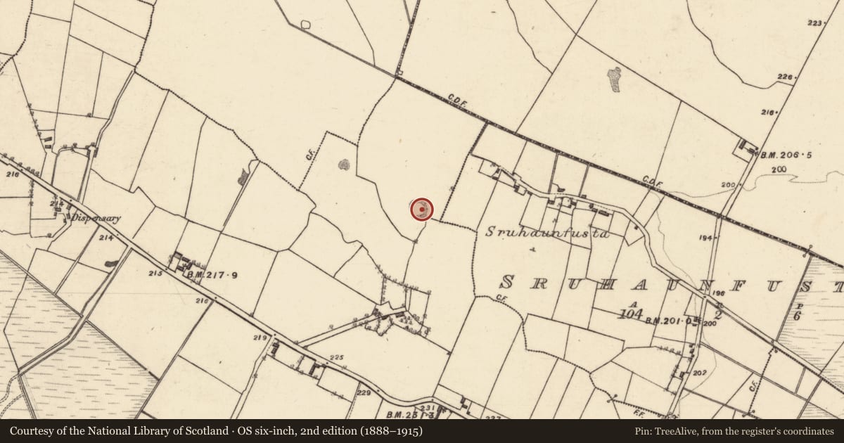 Ordnance Survey six-inch map, 2nd edition (1888–1915) covering the location of Children's burial ground, Lurgan, County Galway, with a pin at the register's coordinates