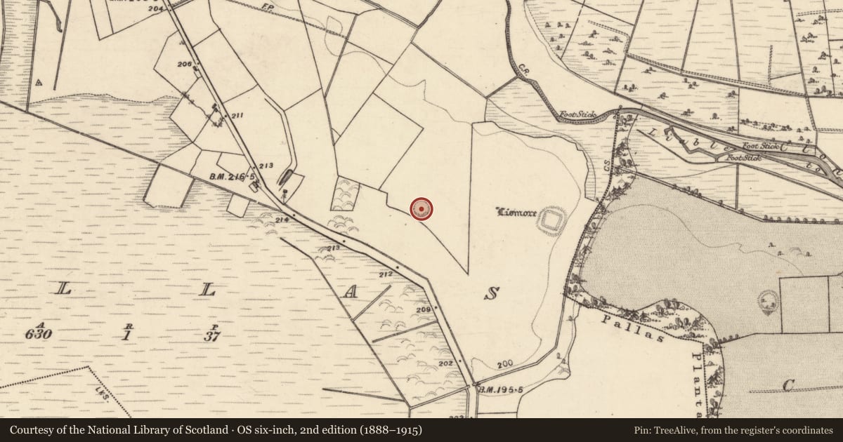 Ordnance Survey six-inch map, 2nd edition (1888–1915) covering the location of Enclosure, Pallas, County Galway, with a pin at the register's coordinates