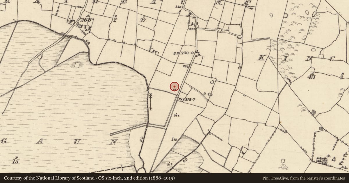 Ordnance Survey six-inch map, 2nd edition (1888–1915) covering the location of Quarry, Rathbaun, County Galway, with a pin at the register's coordinates