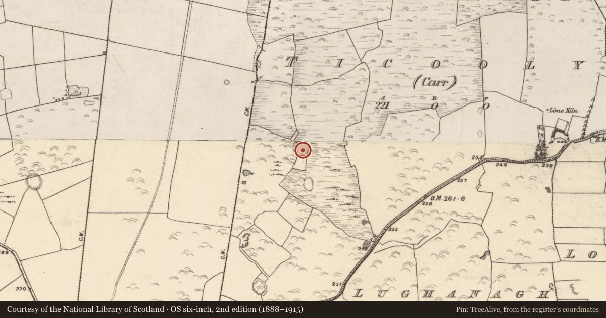 Ordnance Survey six-inch map, 2nd edition (1888–1915) covering the location of Ringfort - unclassified, Ticooly (Carr), County Galway, with a pin at the register's coordinates