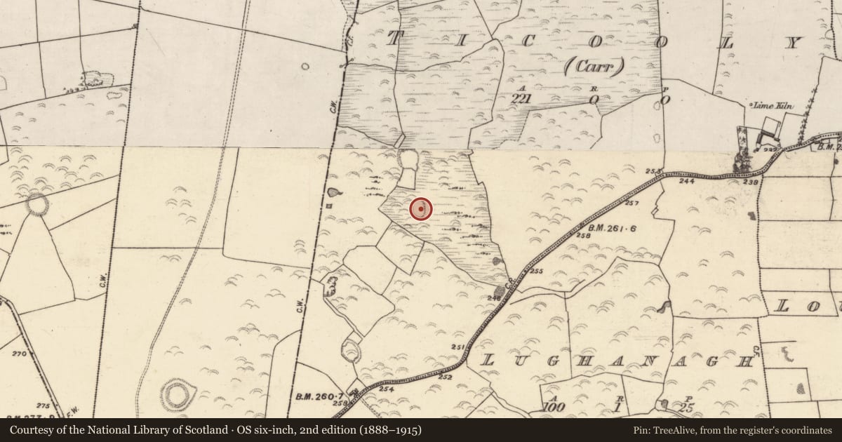 Ordnance Survey six-inch map, 2nd edition (1888–1915) covering the location of Enclosure, Ticooly (Carr), County Galway, with a pin at the register's coordinates