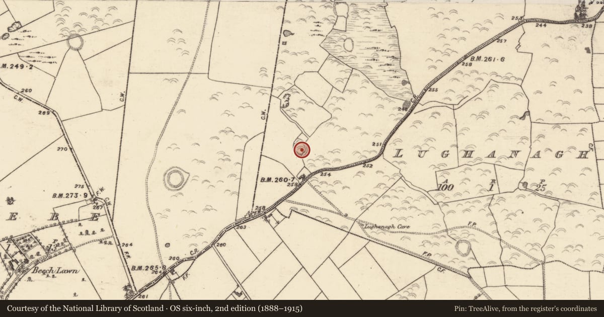 Ordnance Survey six-inch map, 2nd edition (1888–1915) covering the location of Enclosure, Ticooly (Carr), County Galway, with a pin at the register's coordinates