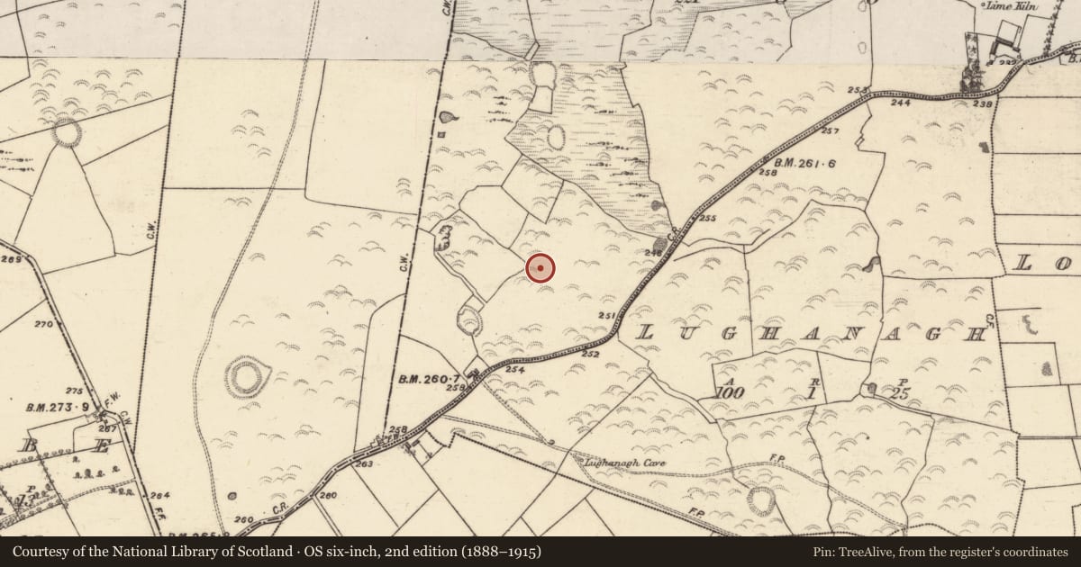 Ordnance Survey six-inch map, 2nd edition (1888–1915) covering the location of Enclosure, Ticooly (Carr), County Galway, with a pin at the register's coordinates