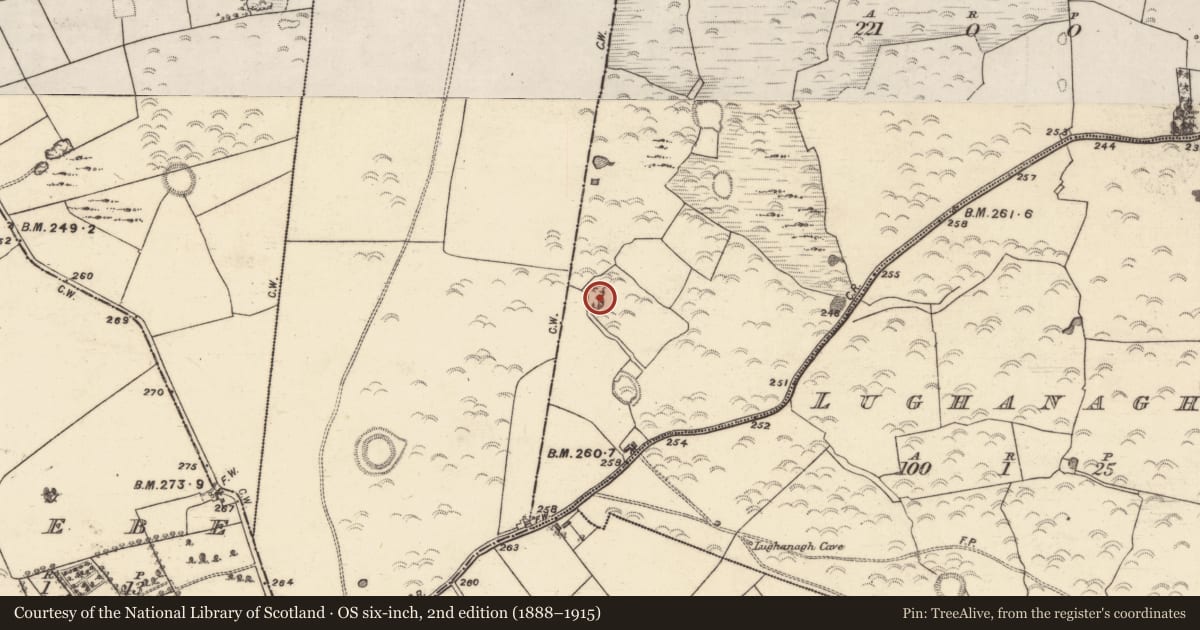 Ordnance Survey six-inch map, 2nd edition (1888–1915) covering the location of Quarry, Ticooly (Carr), County Galway, with a pin at the register's coordinates