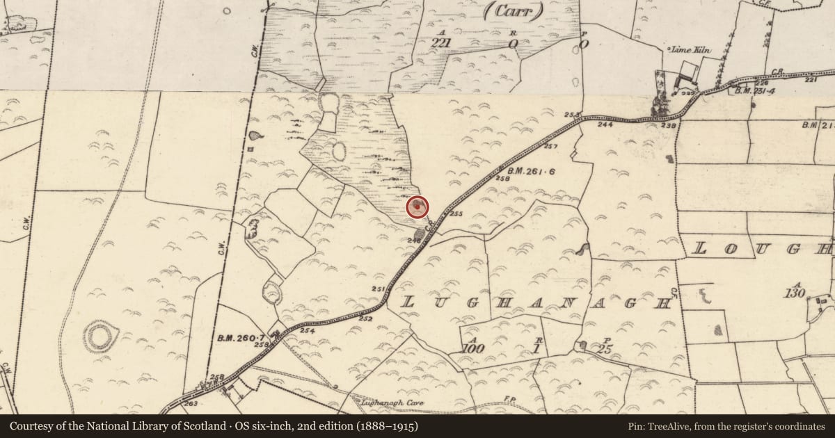 Ordnance Survey six-inch map, 2nd edition (1888–1915) covering the location of Quarry, Ticooly (Carr), County Galway, with a pin at the register's coordinates