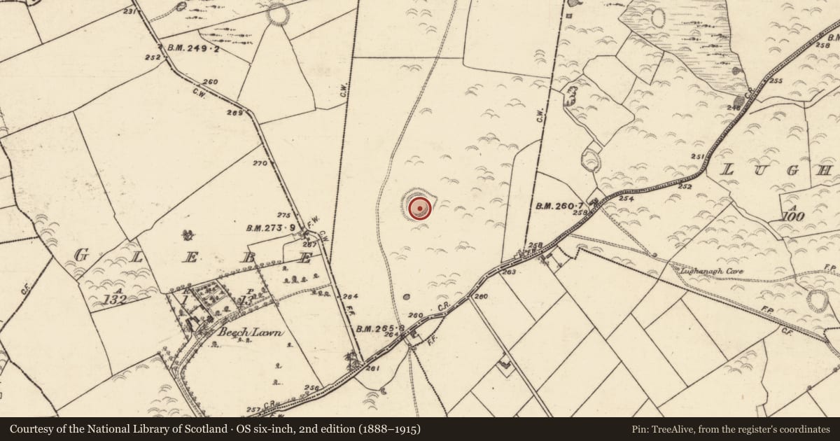 Ordnance Survey six-inch map, 2nd edition (1888–1915) covering the location of Ringfort - unclassified, Ticooly (O'Kelly), County Galway, with a pin at the register's coordinates