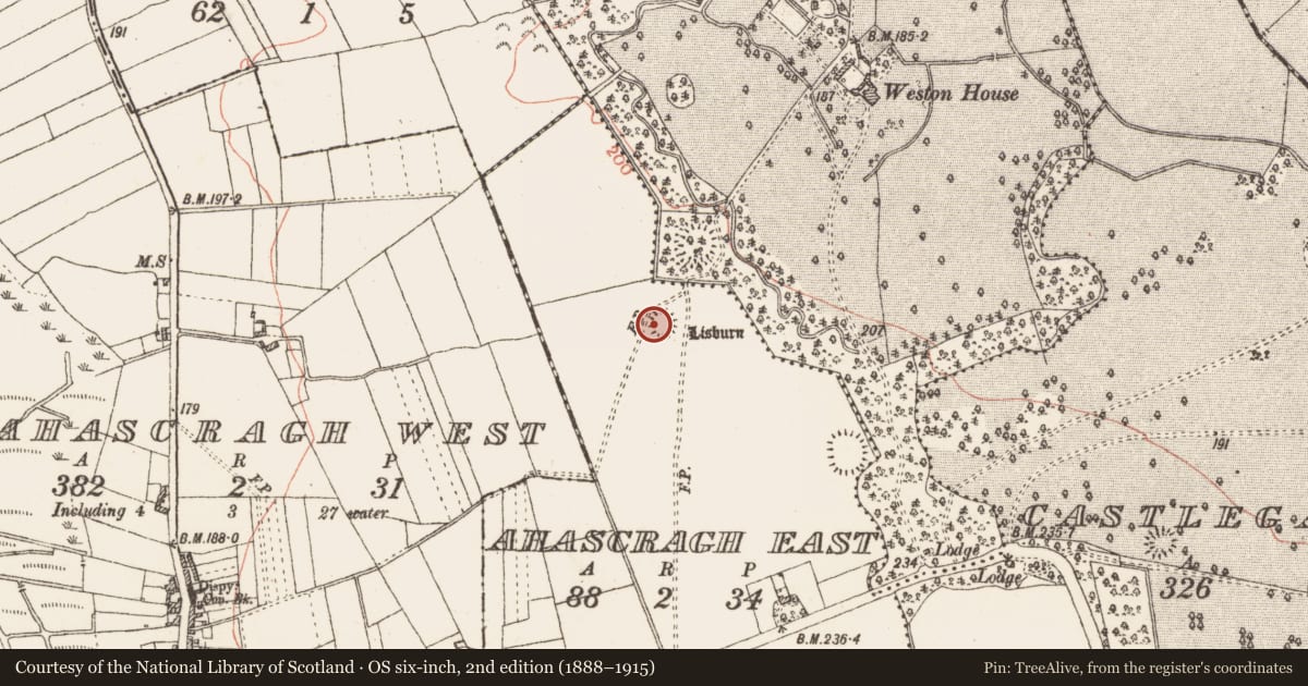 Ordnance Survey six-inch map, 2nd edition (1888–1915) covering the location of Enclosure, Ahascragh East, County Galway, with a pin at the register's coordinates