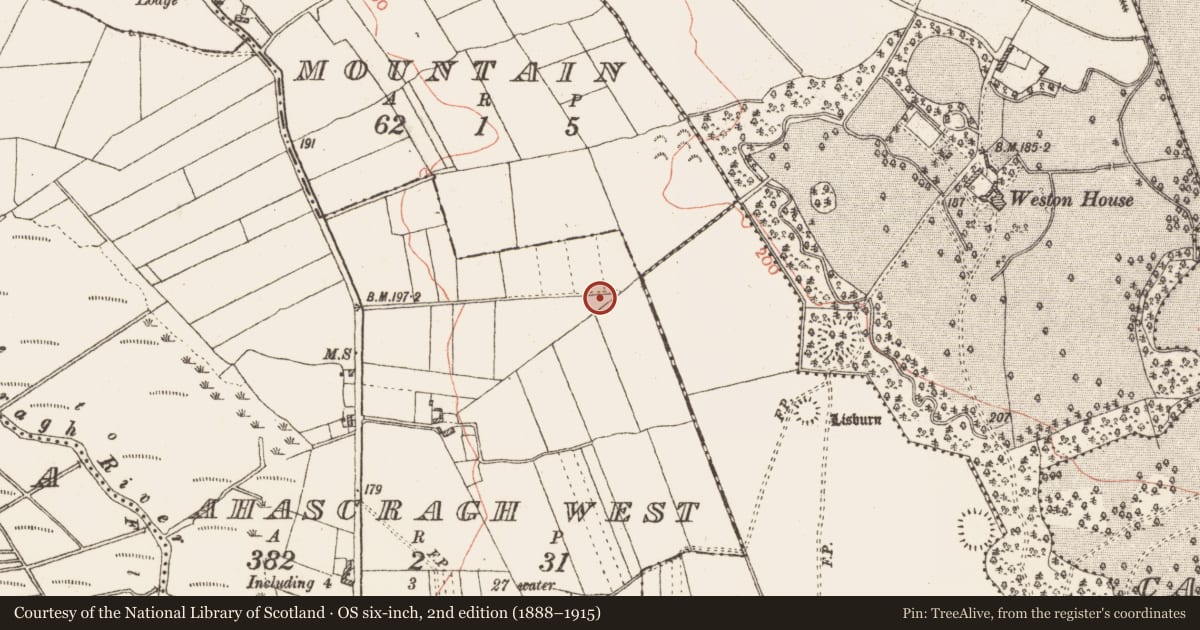 Ordnance Survey six-inch map, 2nd edition (1888–1915) covering the location of Enclosure, Ahascragh West, County Galway, with a pin at the register's coordinates