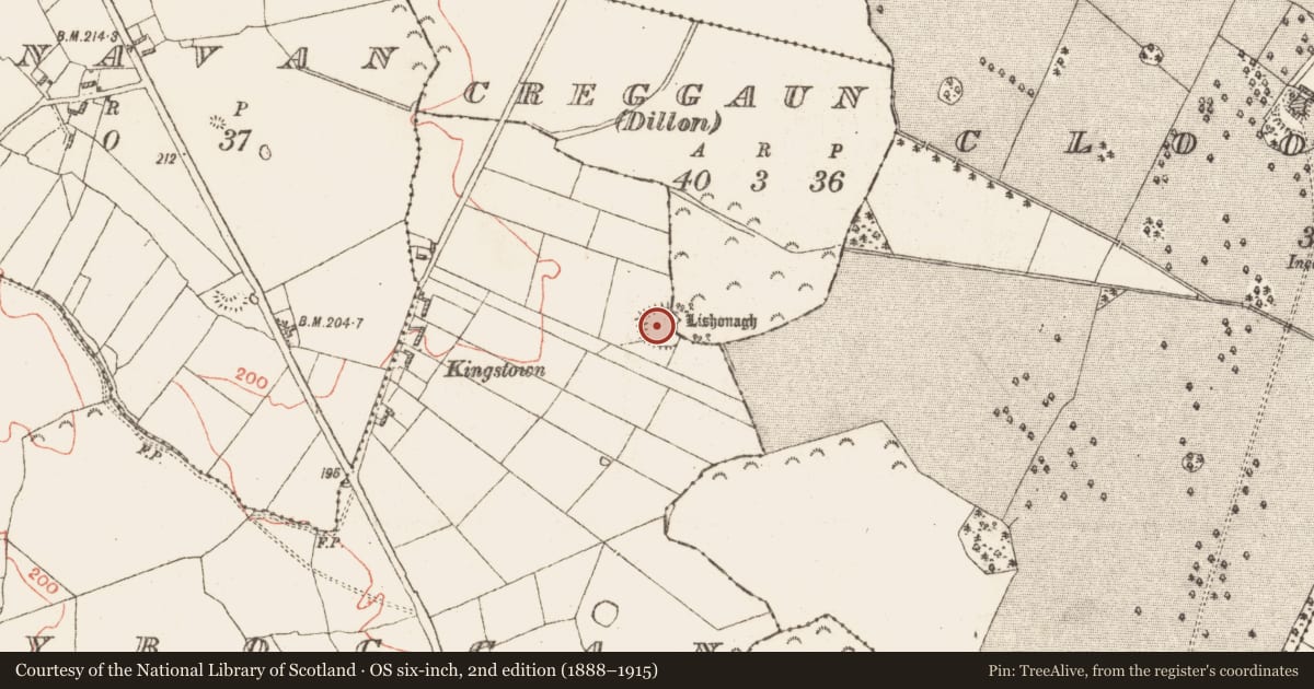 Ordnance Survey six-inch map, 2nd edition (1888–1915) covering the location of Ringfort - rath, Ballyboggan, Creggaun (Dillon), County Galway, with a pin at the register's coordinates